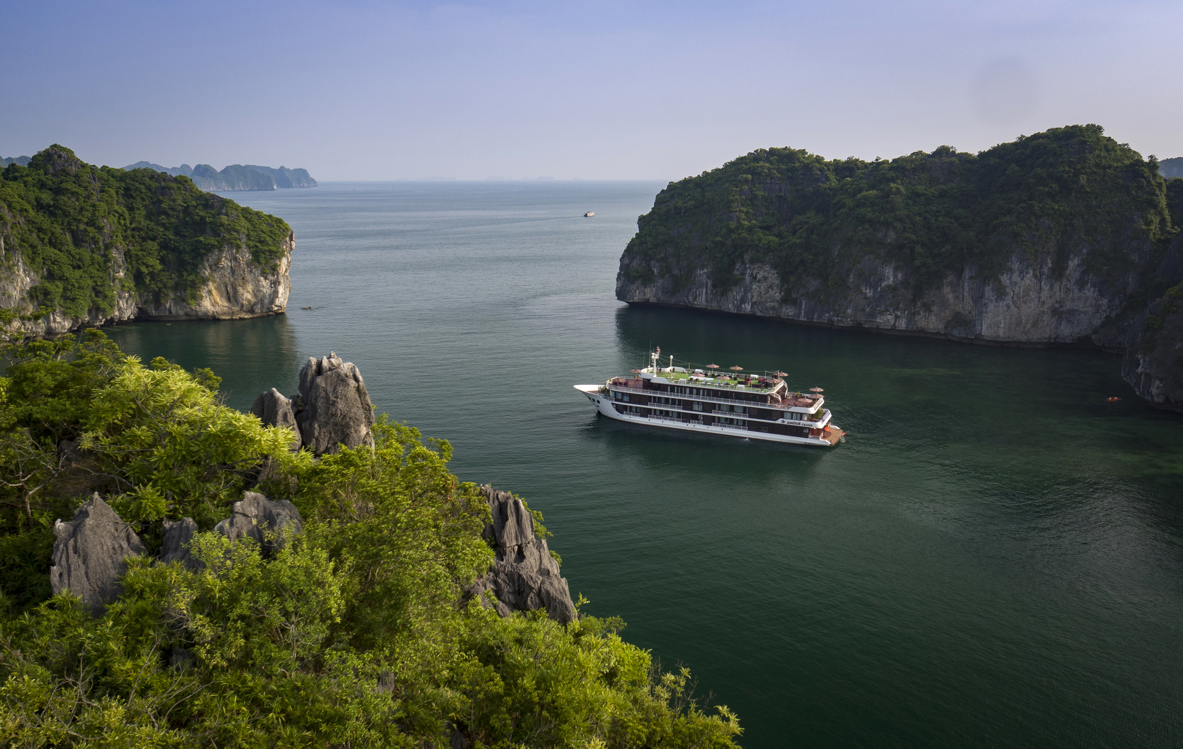Amour Cruise
